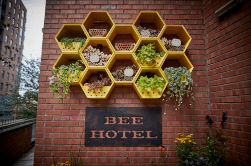 Jurys Inn Manchester Launches Bee Hotel